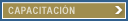 DIVISI&Oacute;N CAPACITACI&Oacute;N 
