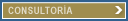 DIVISI&Oacute;N CONSULTOR&Iacute;A